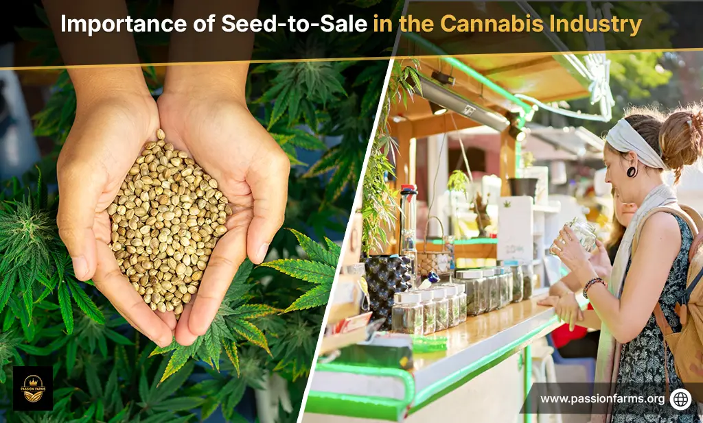 Importance of Seed-to-Sale in the Cannabis Industry