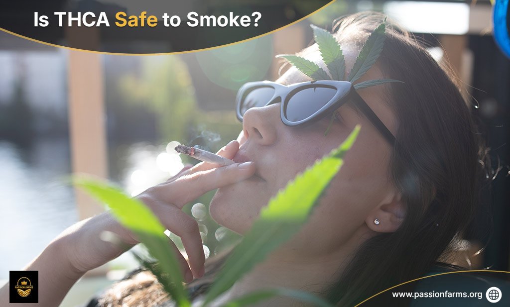 THCA Flower: Effects, Benefits, and Risks