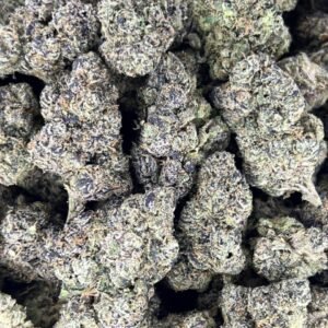 Blue Nerdz ???? ????