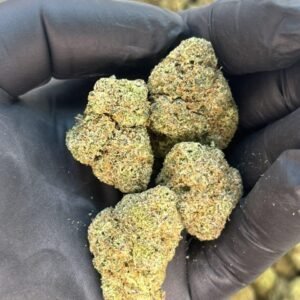 Rainbow Zangria ???? ????