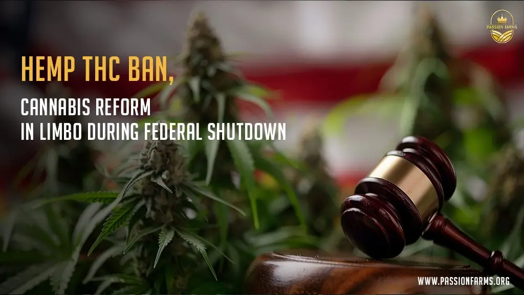 hemp derived THC ban