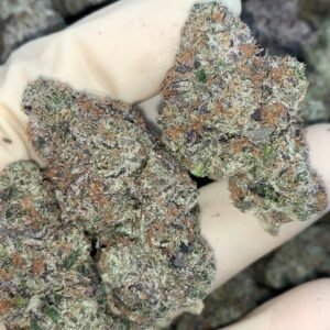 10th Street Blue Nerds