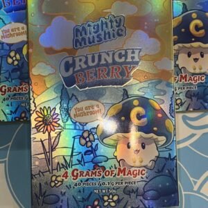 4G Mighty Mushi Crunch Berry Dutch Mushroom Chocolate